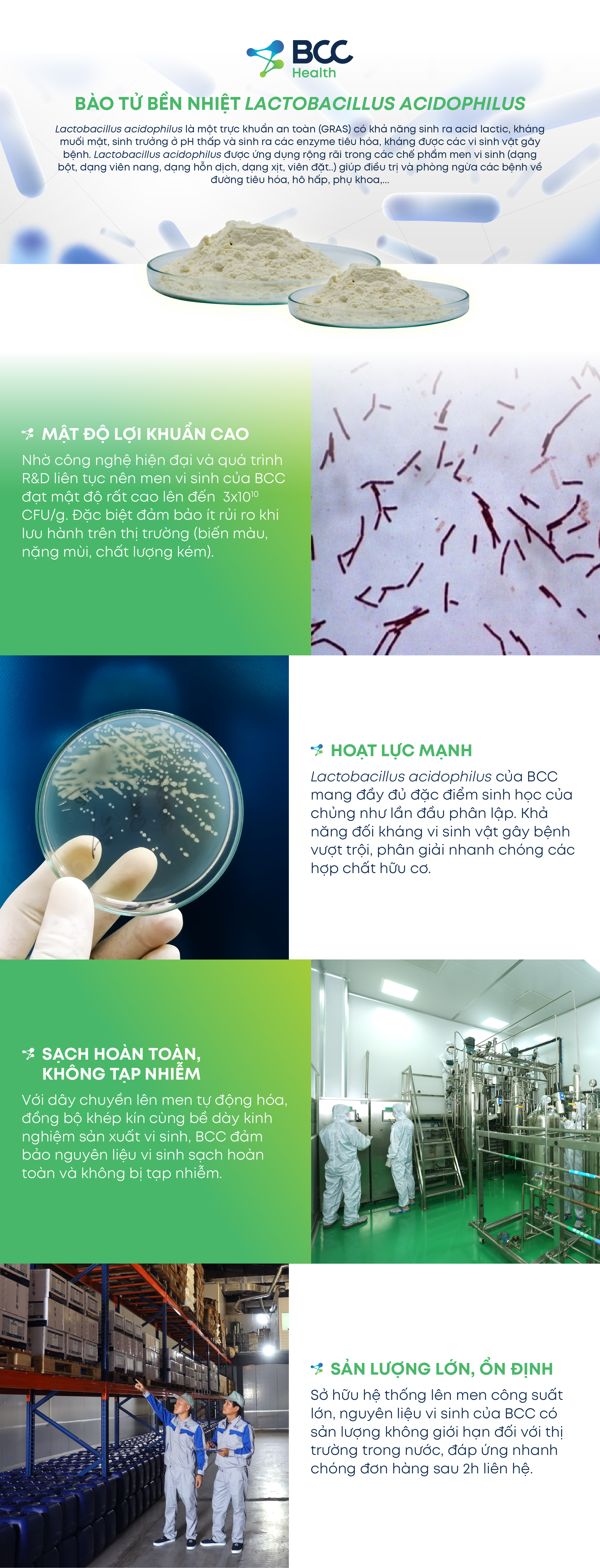 Cơ chế tác động của Beta glucan trong việc bảo vệ sức khỏe
