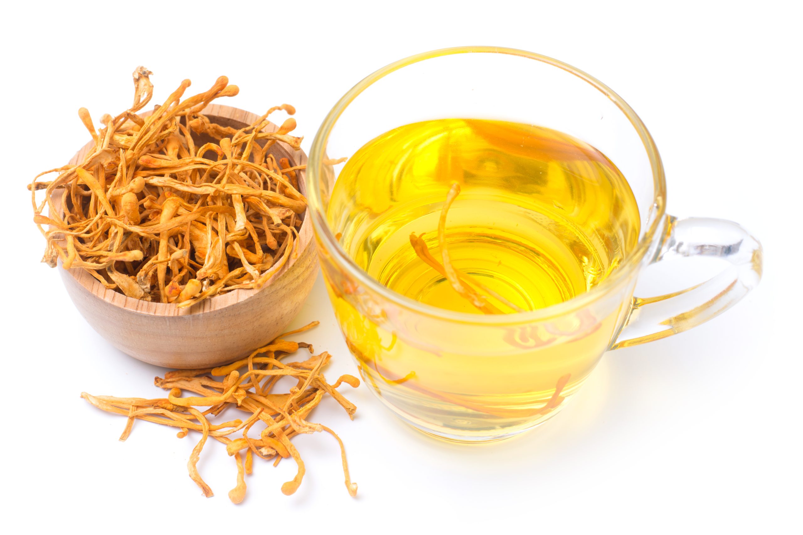 6 Lợi ích của đông trùng hạ thảo được chứng minh khoa học