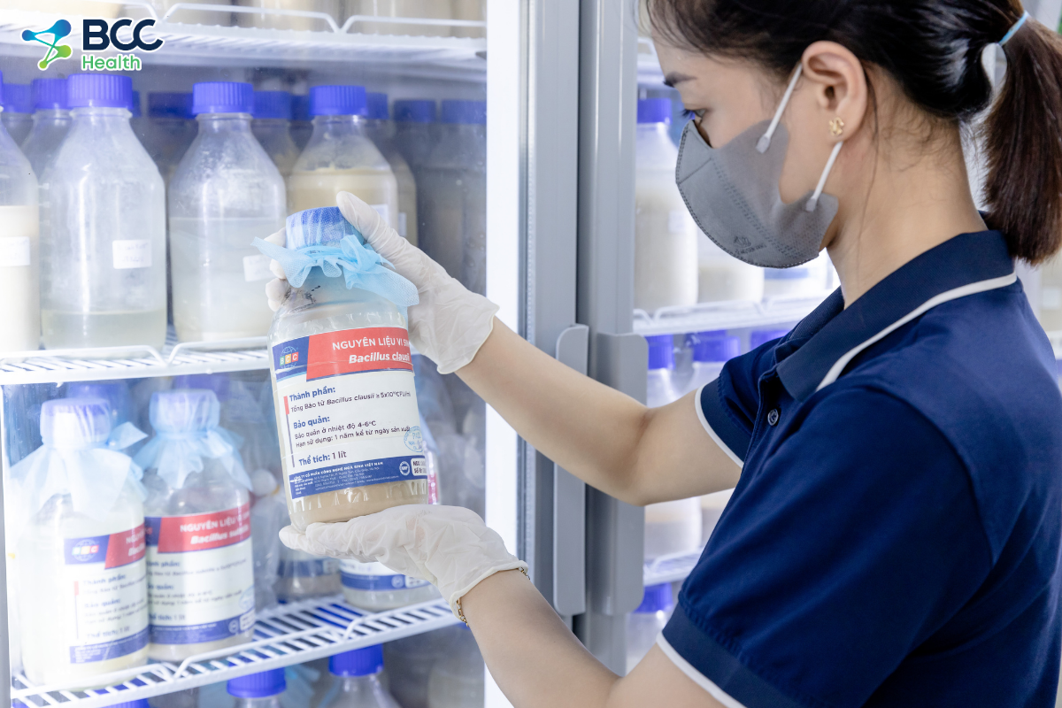 Nguyên liệu vi sinh BCC