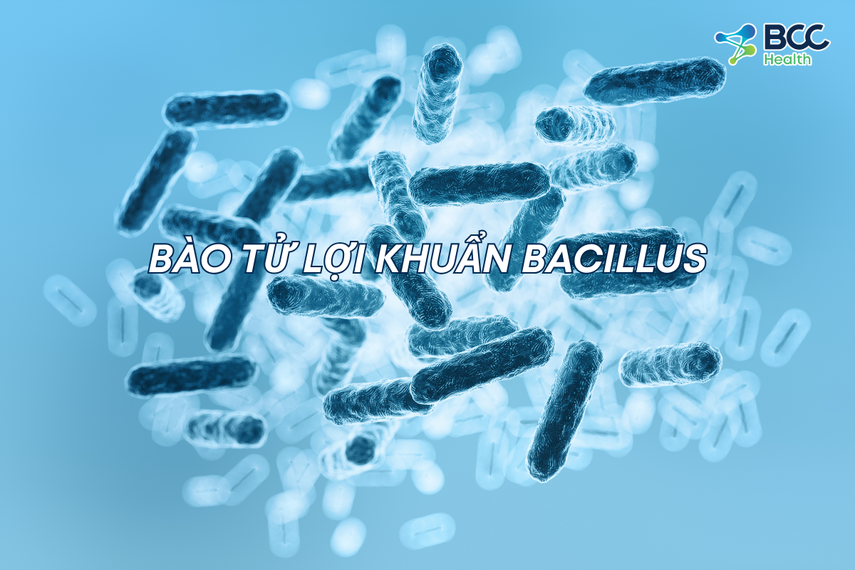 BÀO TỬ LỢI KHUẨN BACILLUS