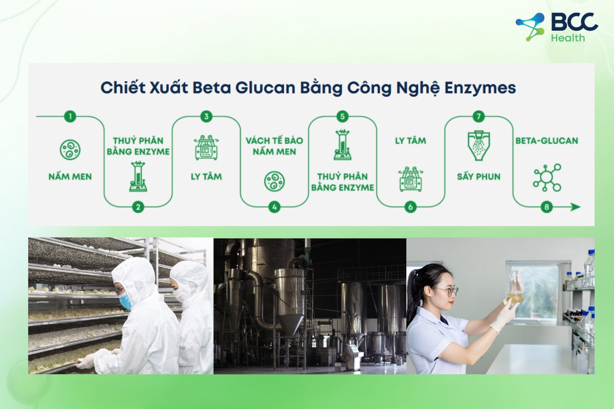 Quy trình chiết xuất Beta Glucan tinh sạch tại BCC bằng công nghệ Enzyme